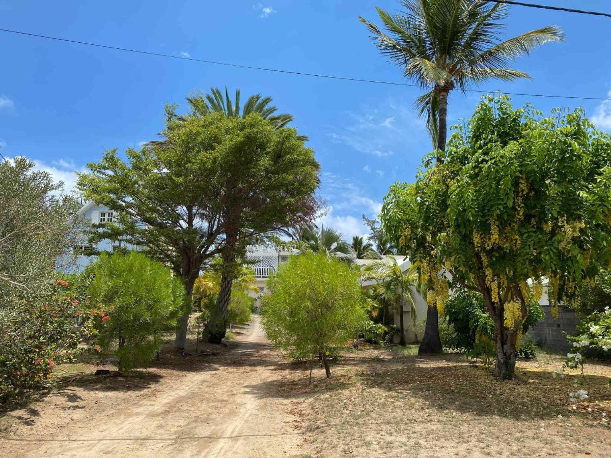 Villa Coco Des Sables Acces Direct Au Lagon La Saline Les Bains Exterior photo